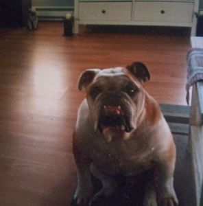 Meet your Posher, Jackie